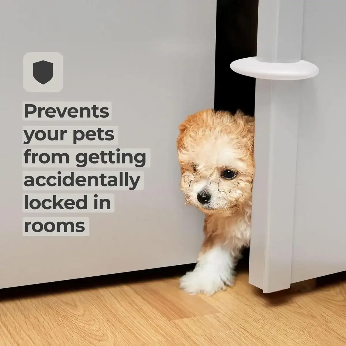 עטור טקסט בגדר בטיחות לכלבים, הגנה מפני כלבים שנתפסים במקומות לא מבוקרים, מוצרי בטיחות לילדים, מנעול לבטיחות חיות מחמד, בטיחות לילדים ולחיות מחמד, אביזרי בטיחות מעוצבים לילדים.